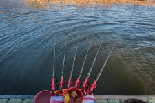 예담2 > [오목 낚시터] : 낚시사랑