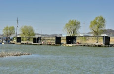 강호지락 > 노진낚시터 : 낚시사랑