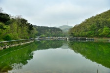 강호지락 > 용인 신기 낚시터 : 낚시사랑