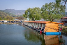 예담2 > [마전 낚시터] : 낚시사랑