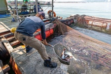 예담2 > [부흥호 좌대] : 낚시사랑