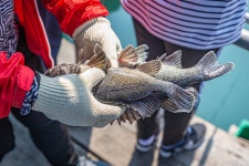 예담2 > [부흥호 좌대] : 낚시사랑