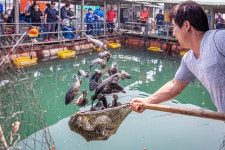 예담2 > [부흥호 좌대] : 낚시사랑