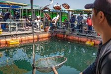 예담2 > [부흥호 좌대] : 낚시사랑