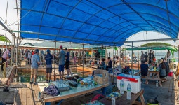 예담2 > [부흥호 좌대] : 낚시사랑