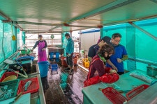 예담2 > [부흥호 좌대] : 낚시사랑