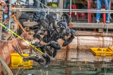 예담2 > [부흥호 좌대] : 낚시사랑