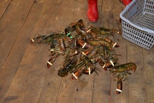 강호지락 > 대부도 생활 낚시터의 명소... : 낚시사랑