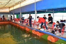 강호지락 > 대부도 생활 낚시터의 명소... : 낚시사랑