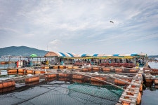 예담2 > 오감이 즐겁다! 아쿠아 좌대 낚시터 : 낚시사랑