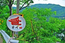 낚시사랑 > 충주호 솔낚시터 : 낚시사랑