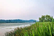 예담2 > [신창 오목지] : 낚시사랑