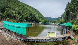 예담2 > [대명 낚시터] : 낚시사랑