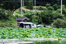 노아주 > 아산 안골낚시터 : 낚시사랑