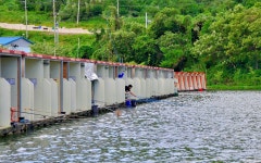 강호지락 > 가산 낚시터 : 낚시사랑