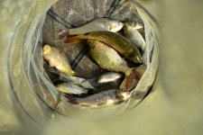 강호지락 > 만정 낚시터 : 낚시사랑