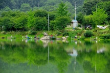 강호지락 > 양평 수곡 낚시터 : 낚시사랑