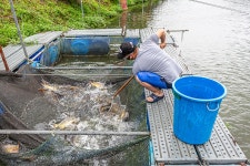 예담2 > [금곡 낚시터] : 낚시사랑
