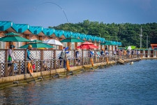 예담2 > 앗~! 벌써 우럭? 선재낚시공원 : 낚시사랑