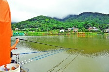 낚시사랑 > 광주 추곡낚시터 : 낚시사랑