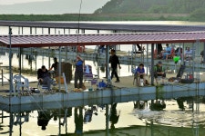 강호지락 > 황청낚시터 : 낚시사랑