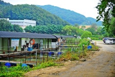 낚시사랑 > 광주 진우낚시터 : 낚시사랑