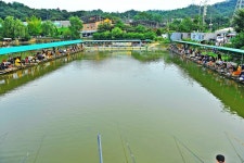 낚시사랑 > 하남 고골낚시터 : 낚시사랑