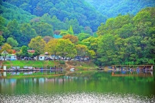 낚시사랑 > 양평 백동낚시터 : 낚시사랑