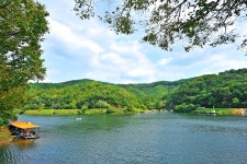 낚시사랑 > 양평 백동낚시터 : 낚시사랑