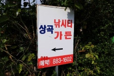노아주 > 음성 상곡낚시터 : 낚시사랑