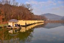 강호지락 > 소로리 낚시터 : 낚시사랑