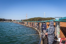 예담2 > 꾼이여 겨울을 즐겨라~! 선재 낚시 공원 : 낚시사랑