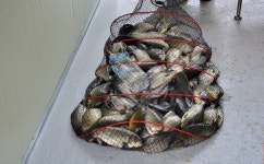 강호지락 > 이천 고담 낚시터 : 낚시사랑