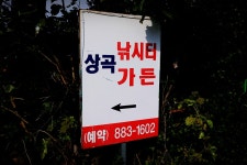 노아주 > 토종대물 상곡지산속 : 낚시사랑