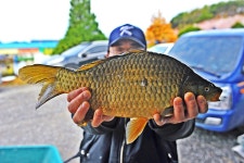 낚시사랑 > 포전 우금낚시터 : 낚시사랑