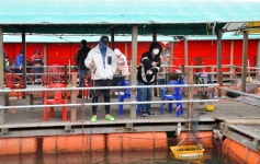 강호지락 > 도비도 미리내 좌대 : 낚시사랑