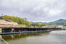 예담2 > 직두리 낚시터 : 낚시사랑
