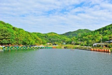 낚시사랑 > 광주 추곡낚시터 : 낚시사랑