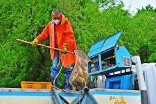 낚시사랑 > 광주 진우낚시터 : 낚시사랑