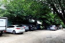 붕어도인 > 가평 도장골낚시터 : 낚시사랑