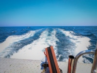 청춘어락 > 공현진낚시마트 : 낚시사랑