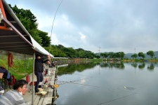 강호지락 > 소로리 낚시터 : 낚시사랑