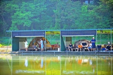 낚시사랑 > 용인 사계절낚시터 : 낚시사랑