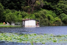 노아주 > 음성 상곡지 산속 토종터 : 낚시사랑