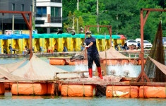 강호지락 > 서울바다낚시터 : 낚시사랑