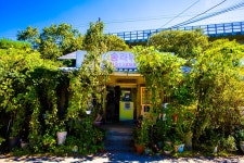 청춘어락 > 송라 낚시터 : 낚시사랑