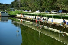 강호지락 > 남전 낚시터 : 낚시사랑