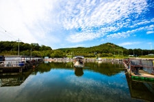 청춘어락 > 화성 신촌 낚시터 : 낚시사랑