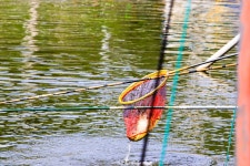 청춘어락 > 화성 신촌 낚시터 : 낚시사랑