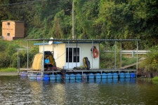 강호지락 > 당진 항곡지 : 낚시사랑